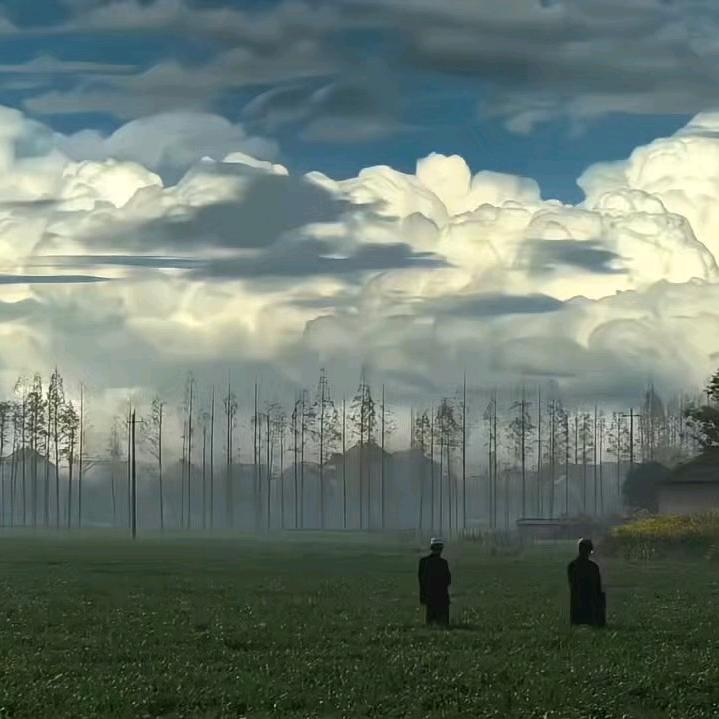 看一千次海