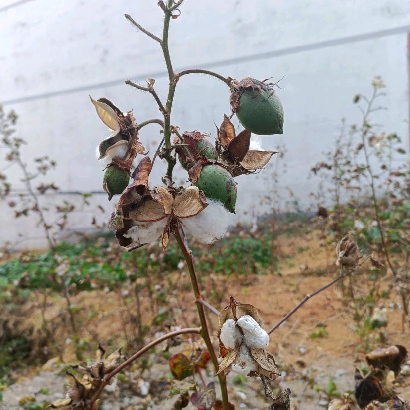 坦诚  简单就好