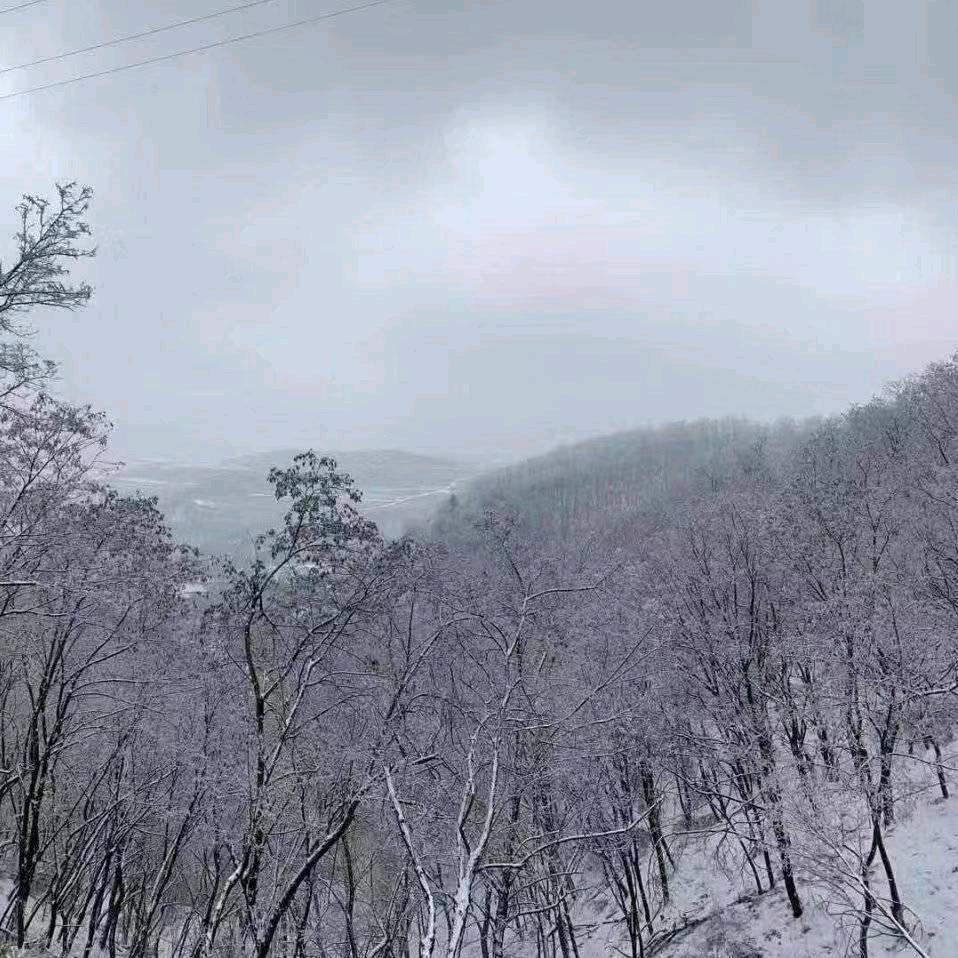 那天下着雪