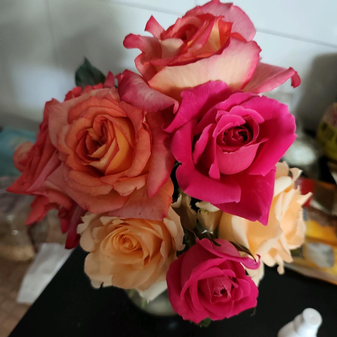 善美：下午1点45首播