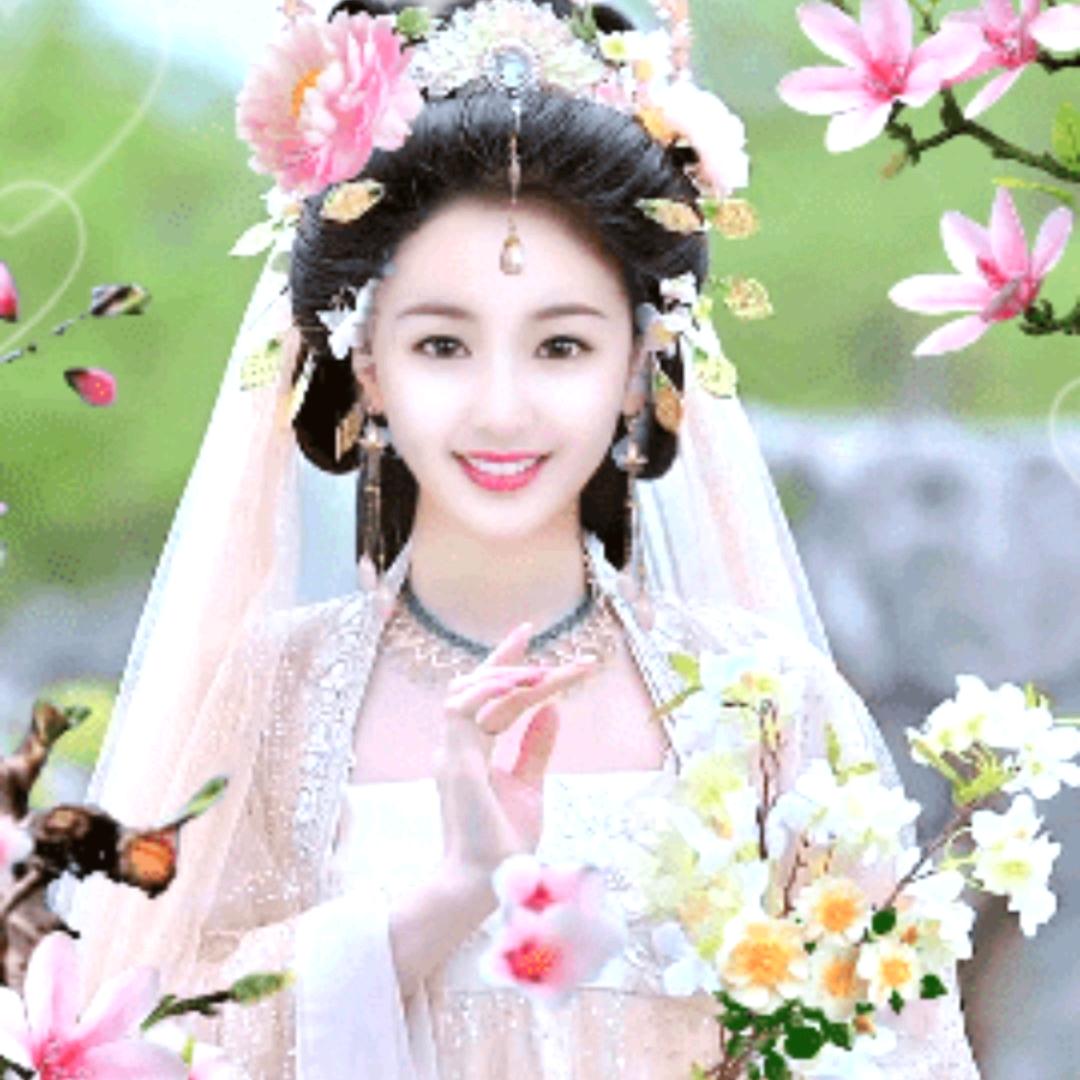 春夏秋冬 莲缘堂 妙悟 拒闲 连赞拉黑