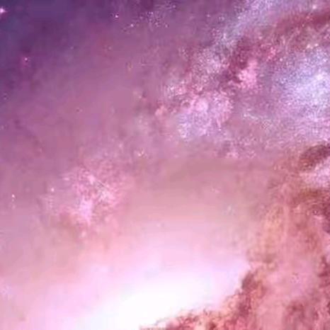 活在当下 爱自有天意