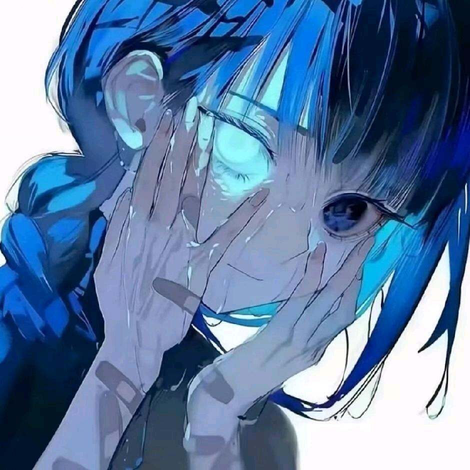 黎鸢尾花