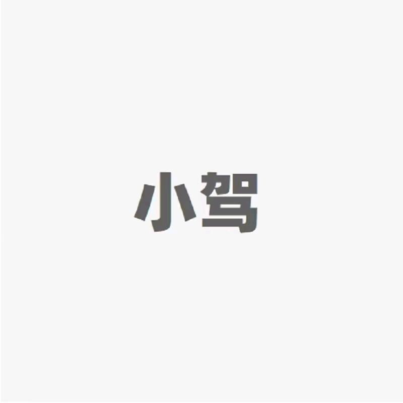 小驾旗舰店