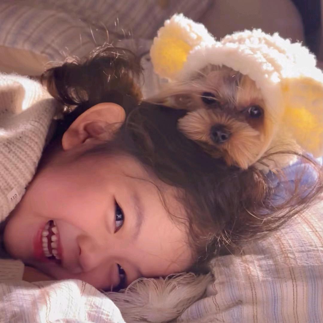 羊咩咩🐑