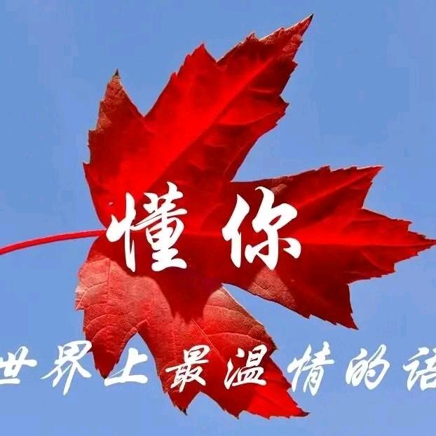 ╭(╯维修说明书╰)╮