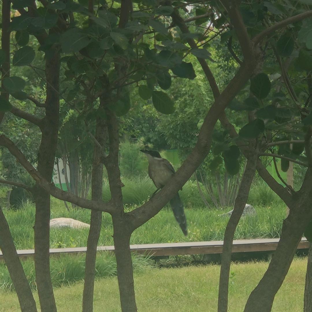 黑眼圈患者