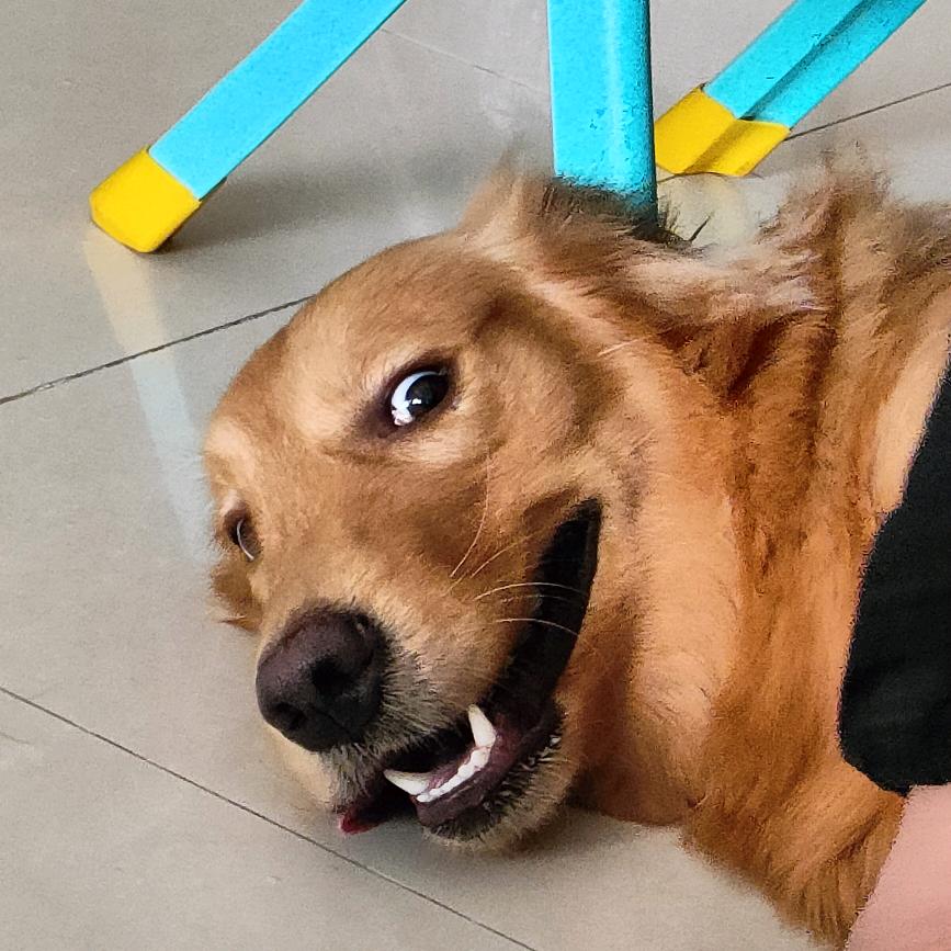 六六六大顺(深空版)