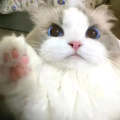 以身入局步红尘，人间疾苦三千丝