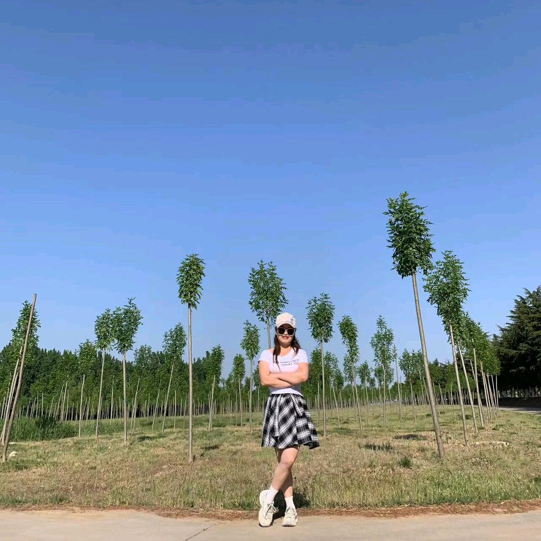遗忘的心