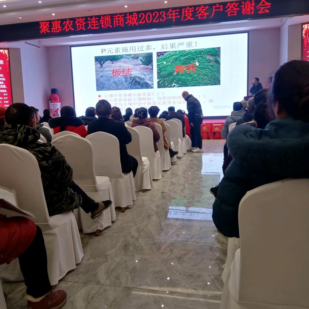 老乡好