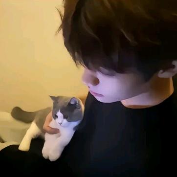 晚秋