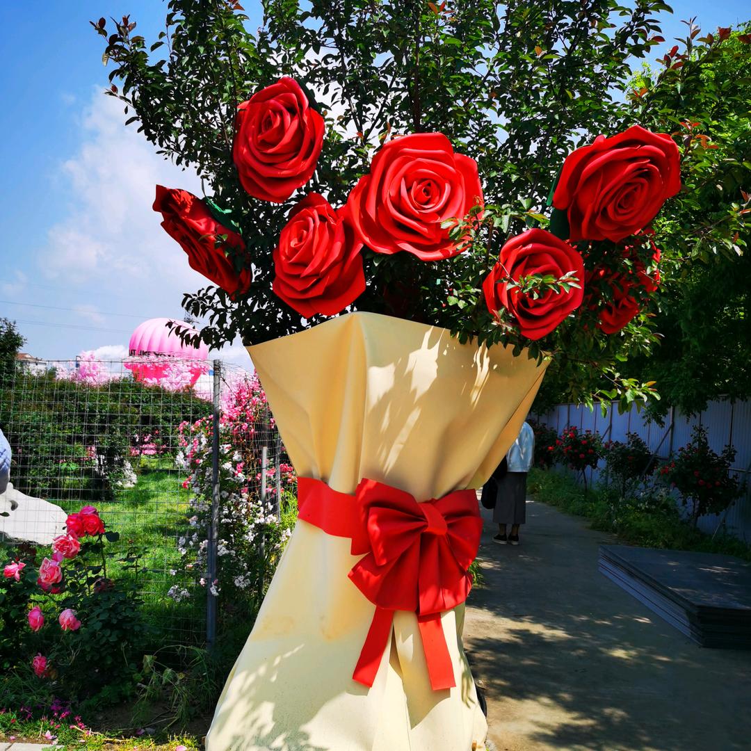 夏天 （海康旅居）海燕抱团26期学员