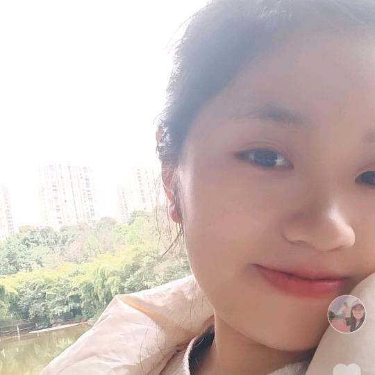 自由的风
