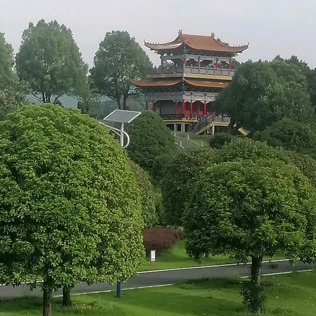 吴老幺，专业土建工程