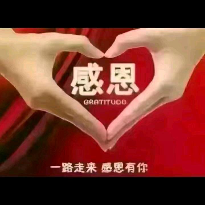 早晨的太阳