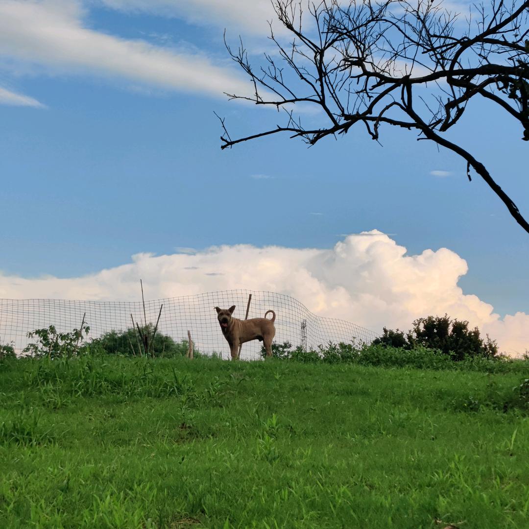 深耕失眠领域30分钟