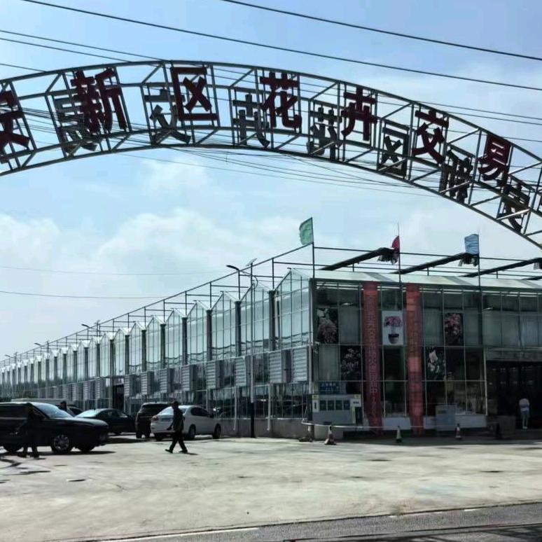 河北雄安花卉市场