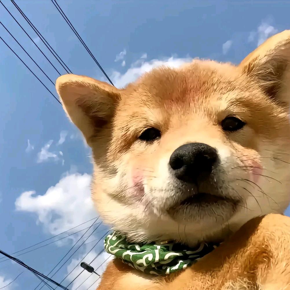 维尼熊。