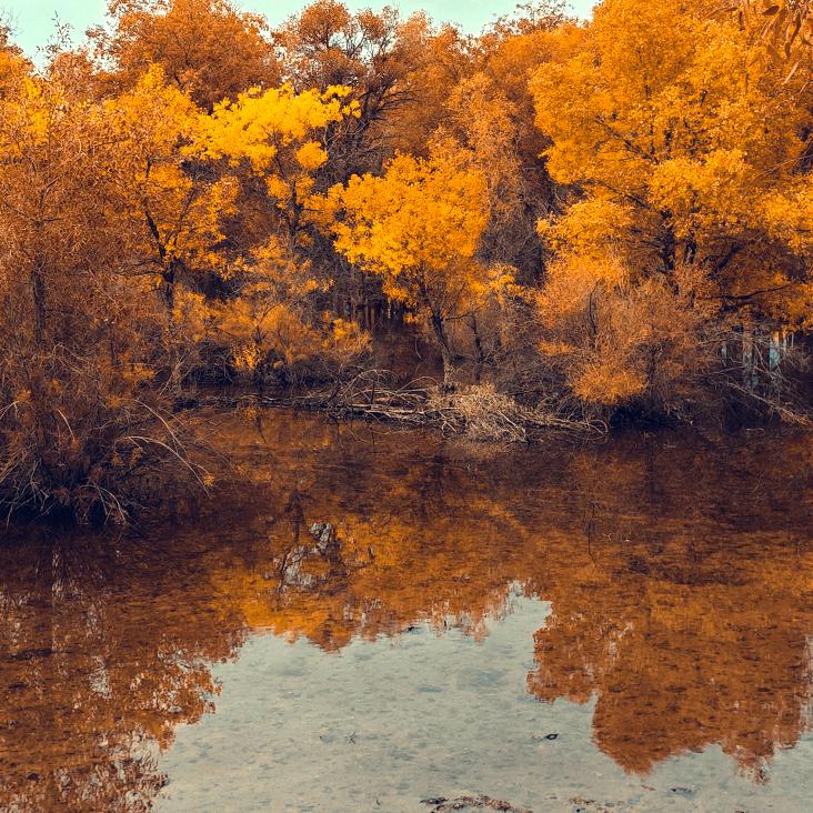 张掖市鸿翼图文广告有限责任公司