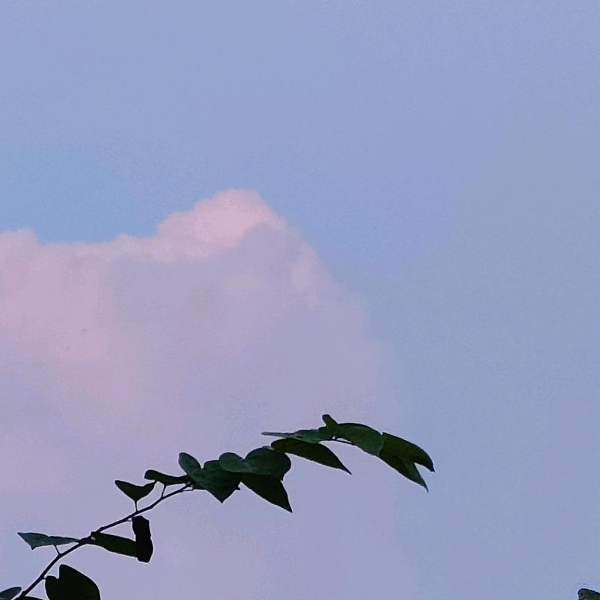 月白风清