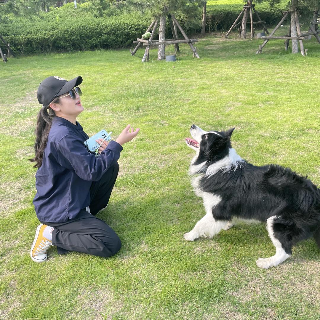 小懒猫🐱