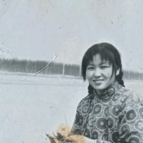 如si