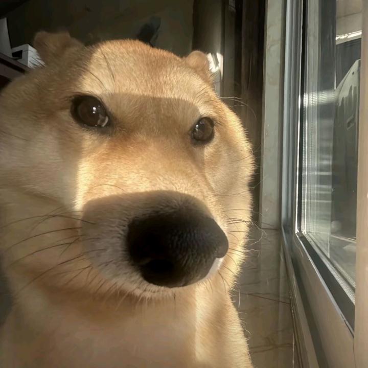 咯叽