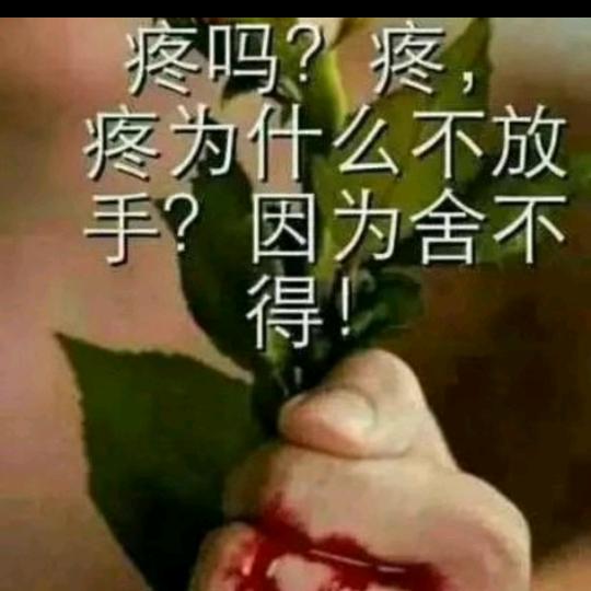 云妹妹