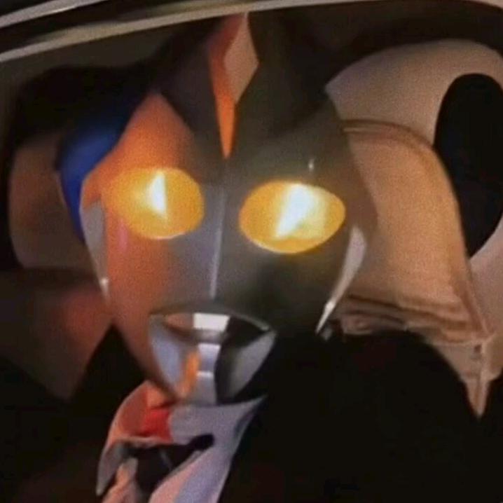 雾里提灯不见她