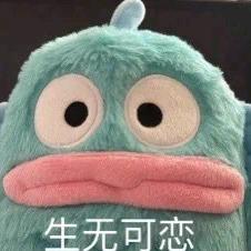 爱吃板烧堡的狮子🦁