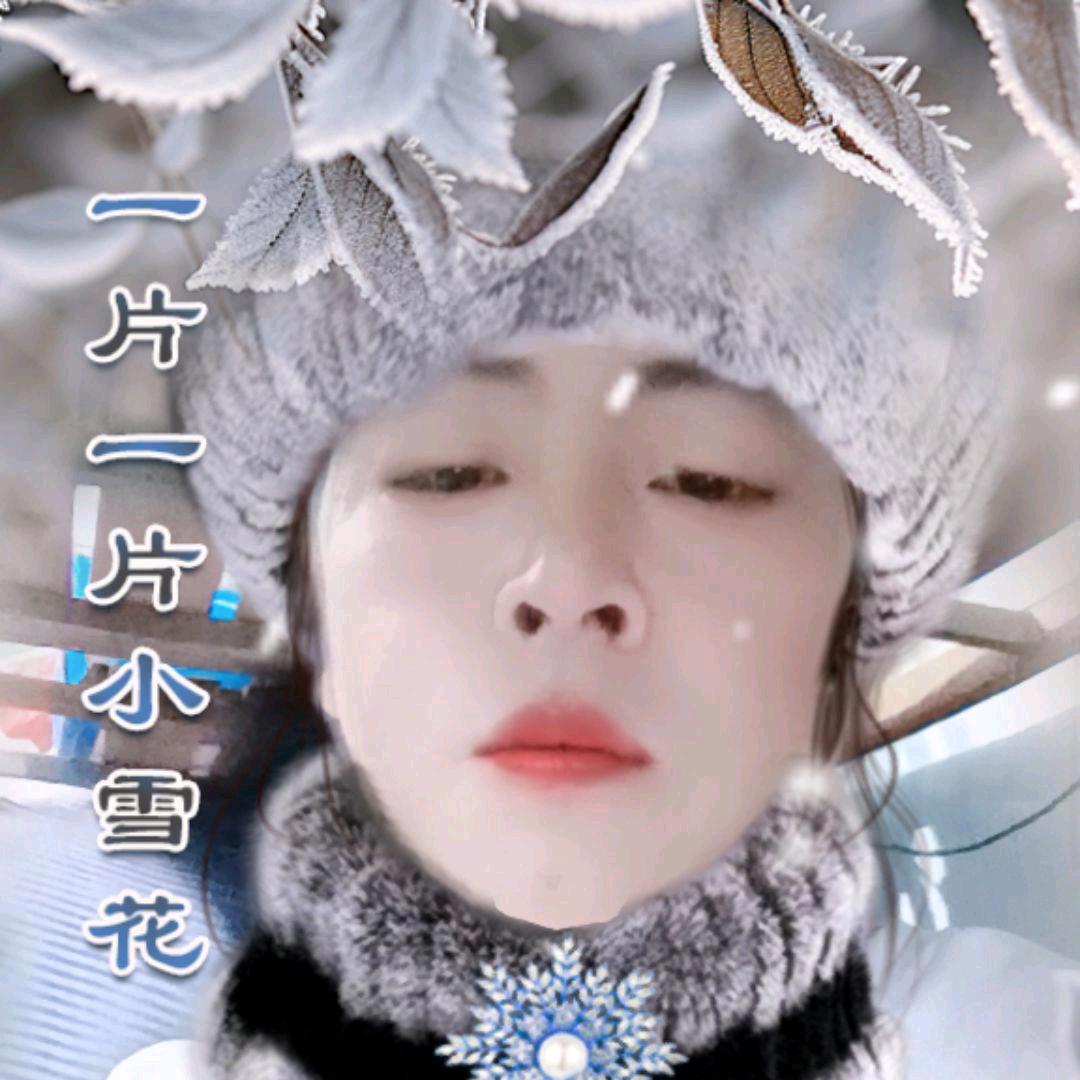 韩春夏秋冬。