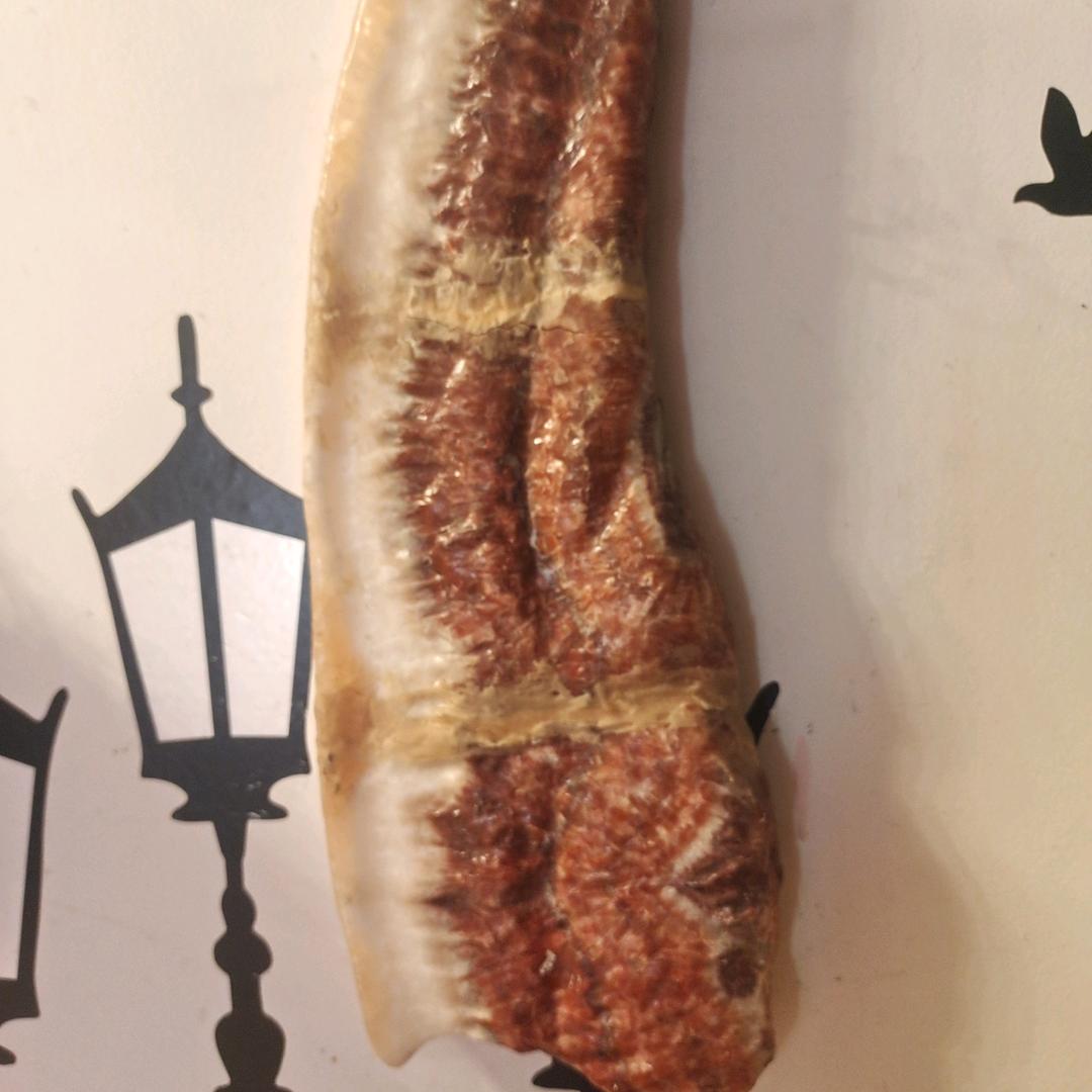 真情到永远
