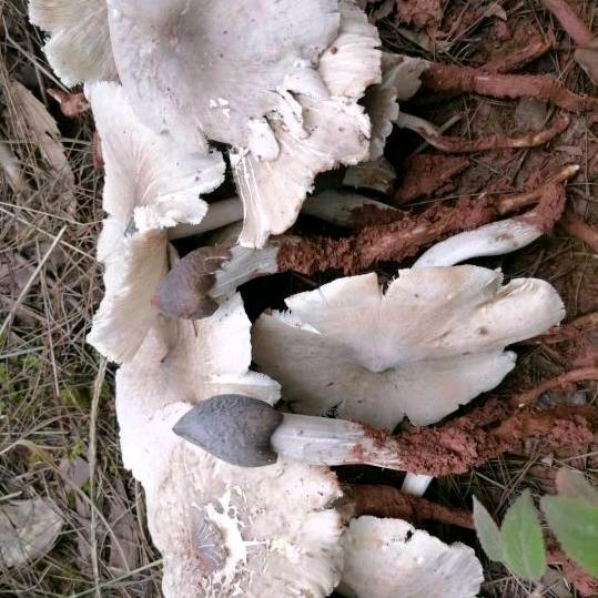 随缘
