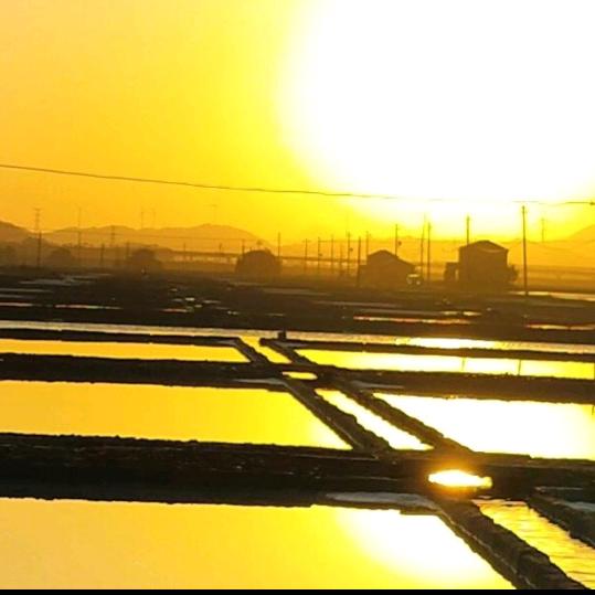 我若盛开，清风明月