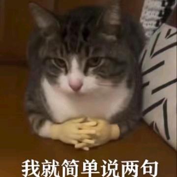 沈阳市于洪区桥琦百货店（个体工商户）