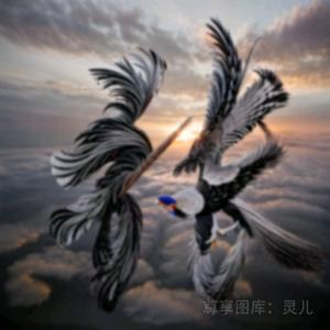 এ᭄一张ꦿ꯭不ꫛ够花ꫀꪝ