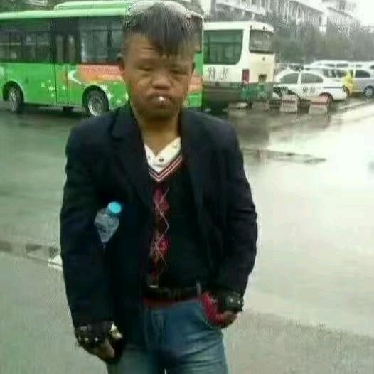 来都来了