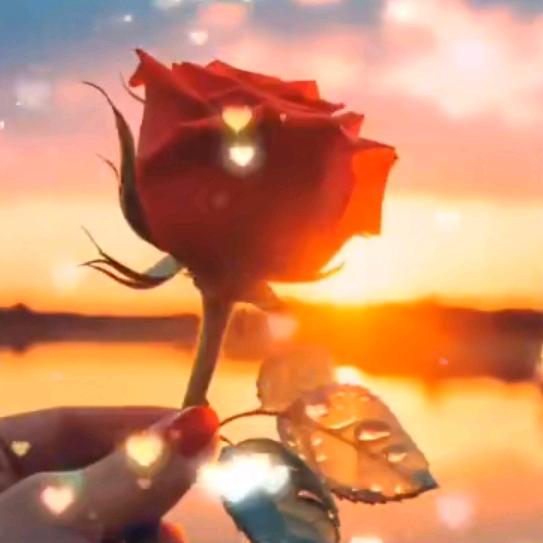 &%❤️一如既王❤️%&诚信比金贵🤝