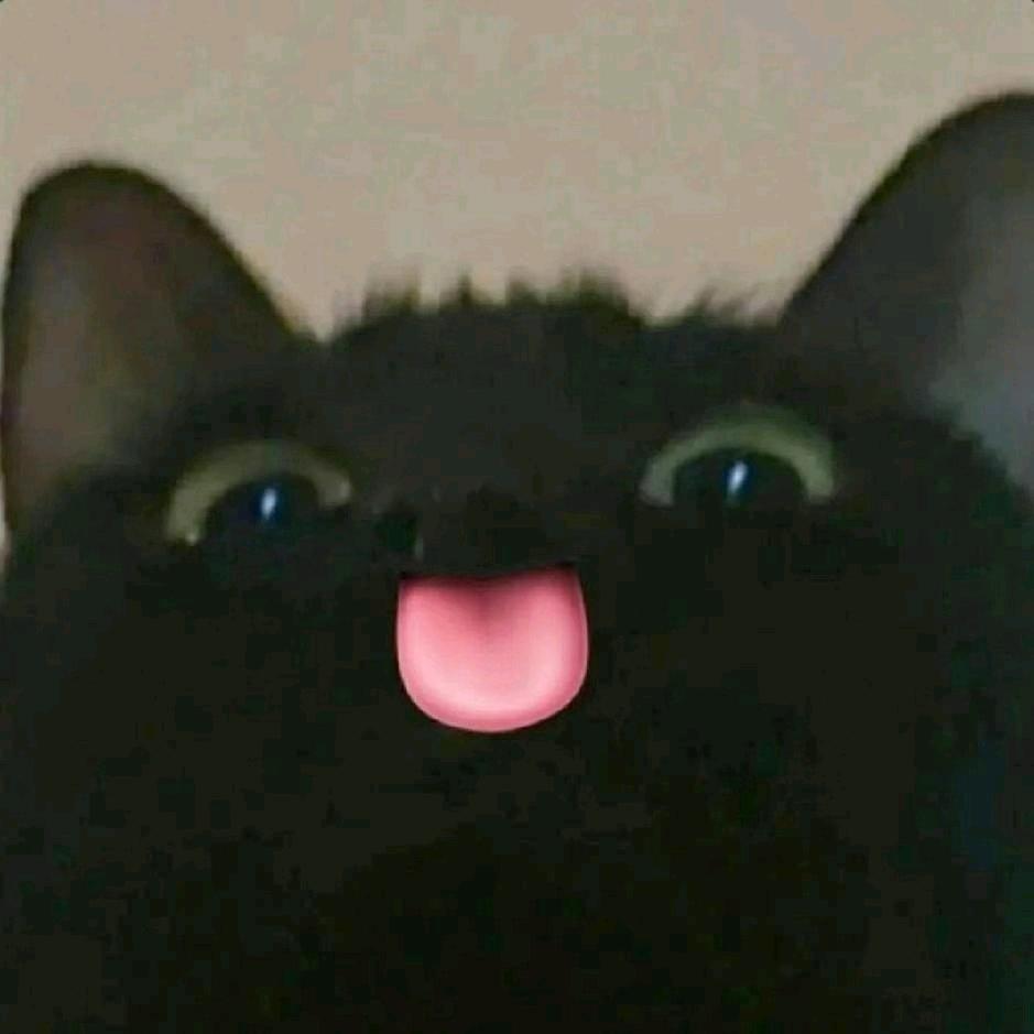 鱼比肉好吃