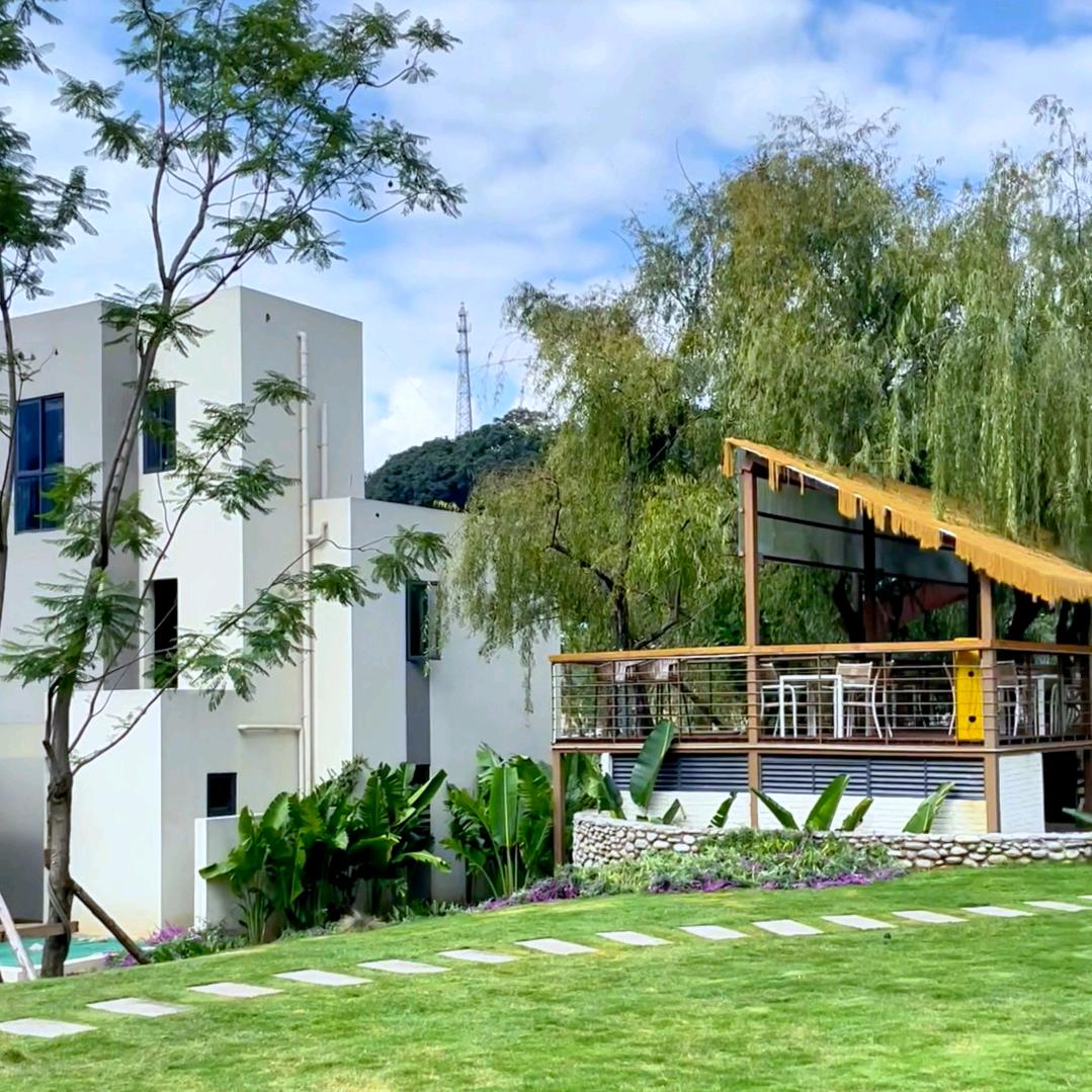 异元素-琴琴聊旅居