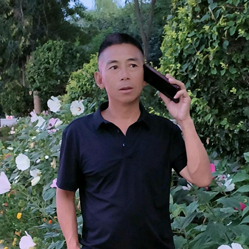 来去自如