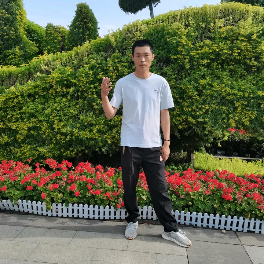 余小鱼🐟鱼塘主