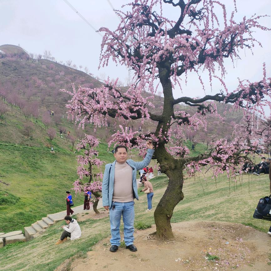 阿黑哥