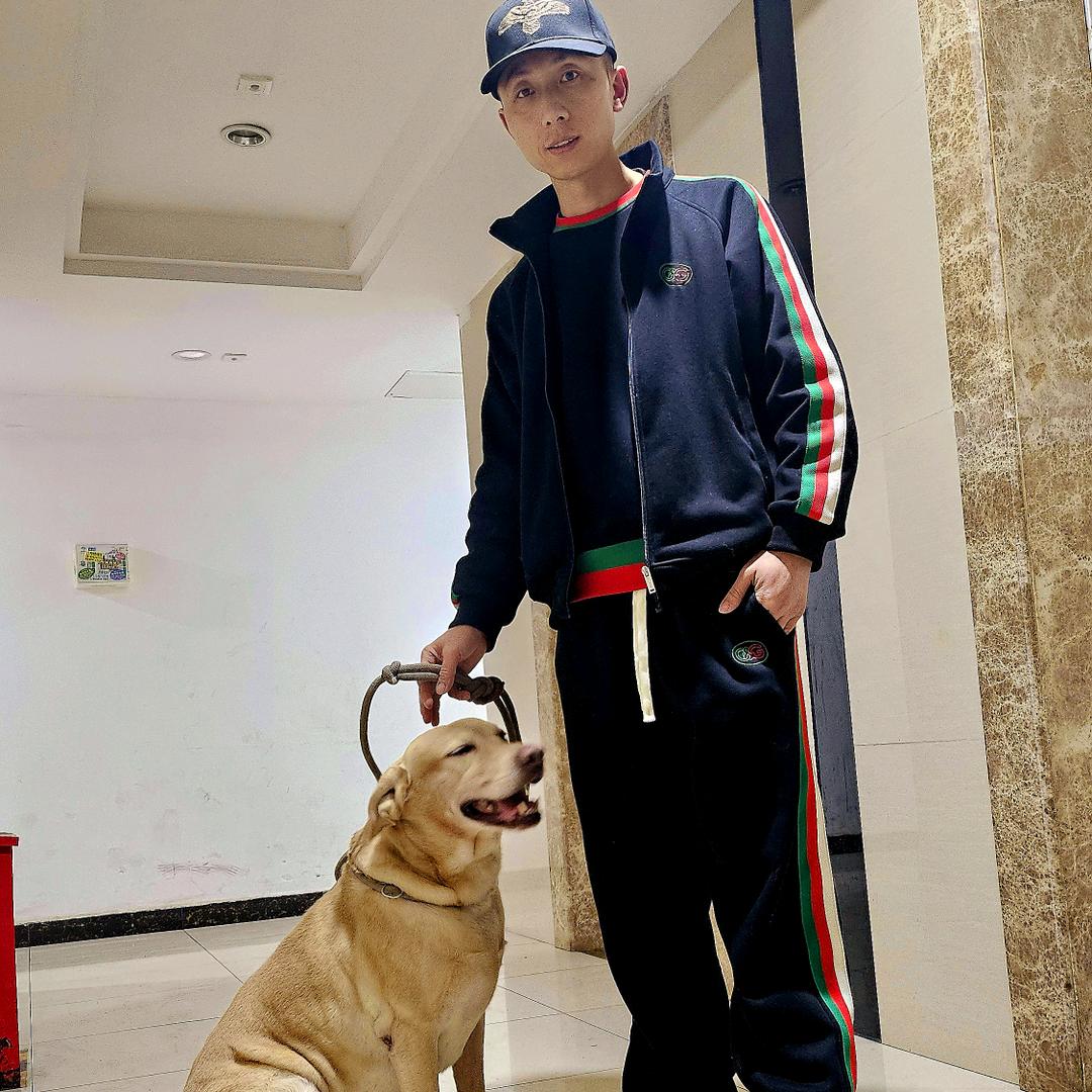 神犬小布点