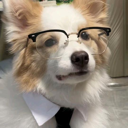 辞安.