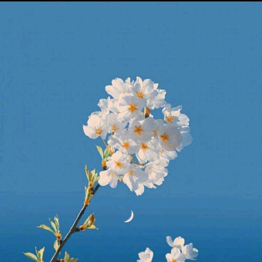 万紫千红.
