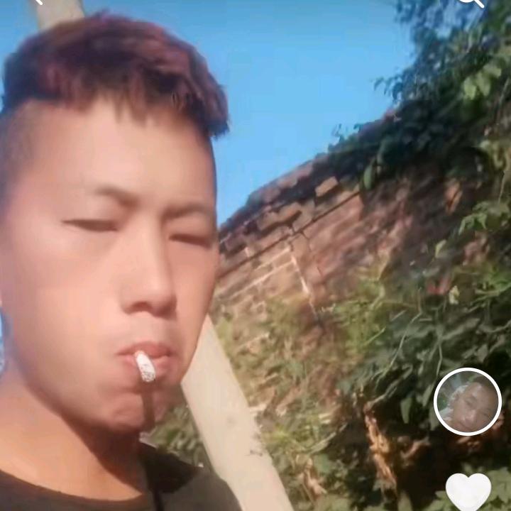 另类你海弟