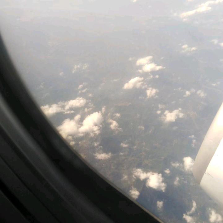 🐅⁰⁵.₂₉李℘࿐