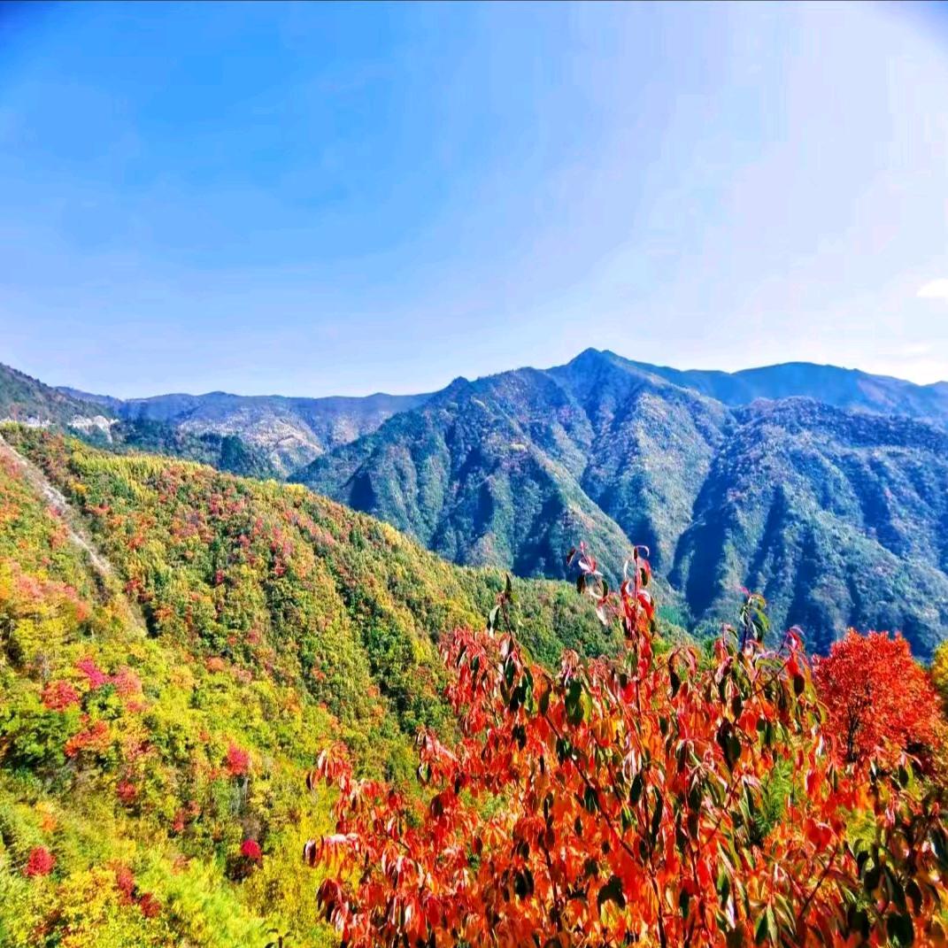 小袁哥